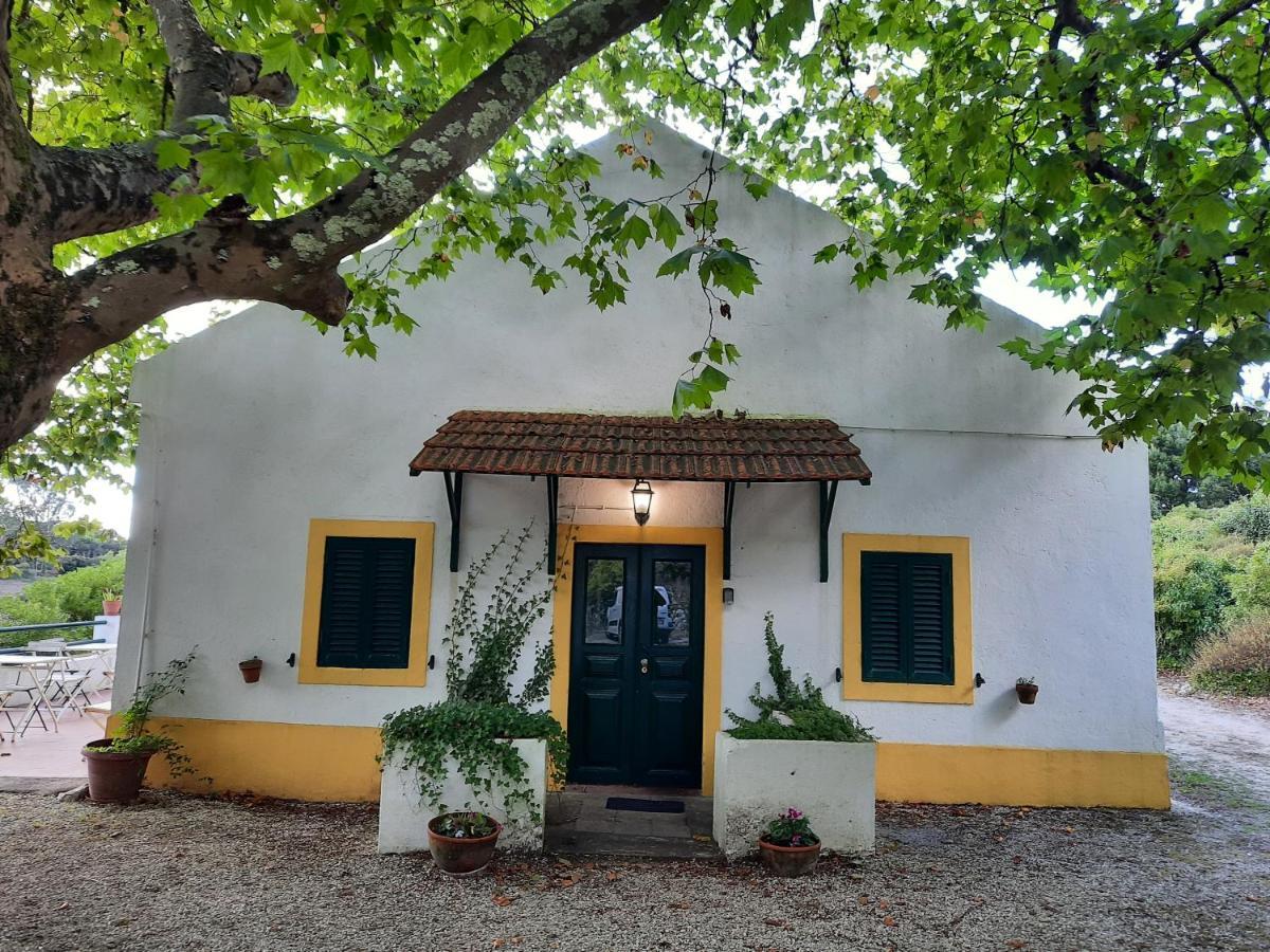 Montejunto Villas - Casa Do Platano Cadaval Buitenkant foto