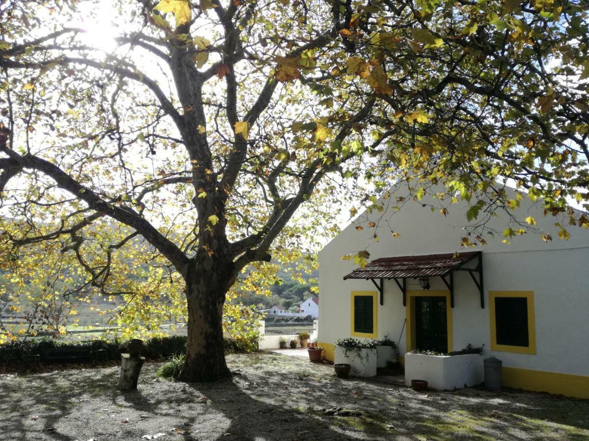 Montejunto Villas - Casa Do Platano Cadaval Buitenkant foto