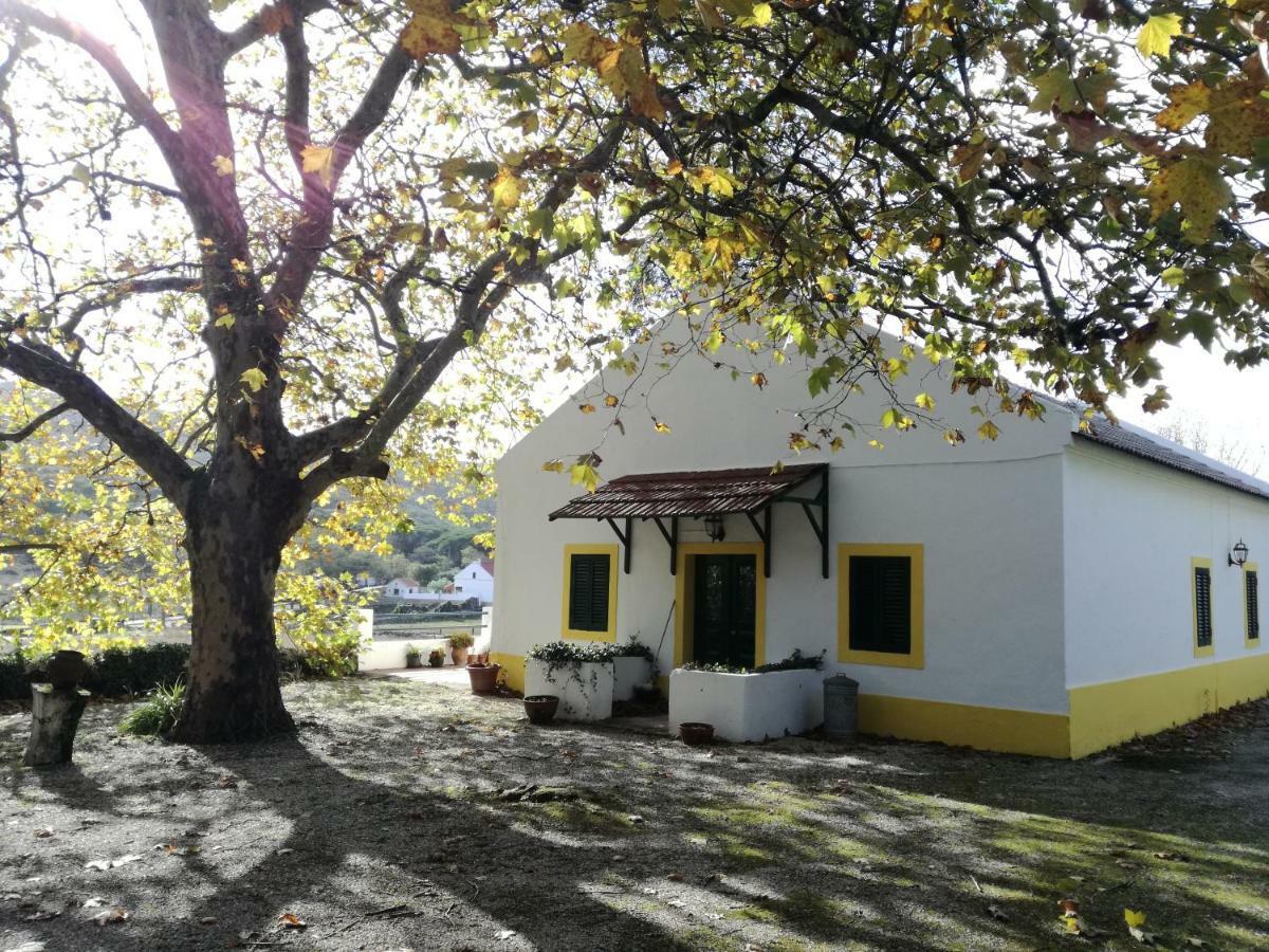 Montejunto Villas - Casa Do Platano Cadaval Buitenkant foto