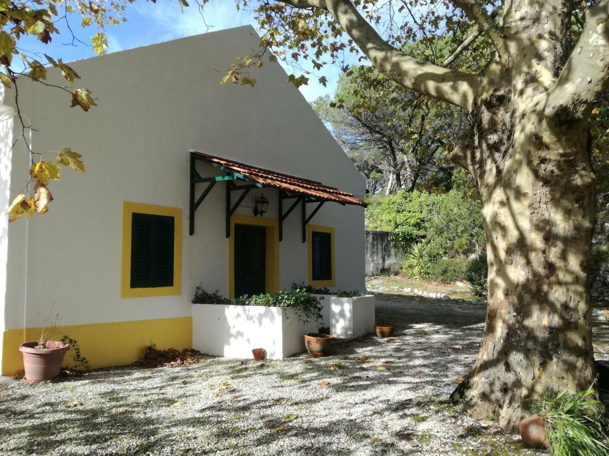 Montejunto Villas - Casa Do Platano Cadaval Buitenkant foto