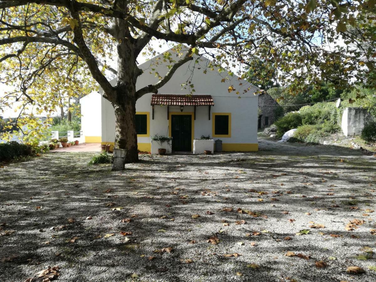 Montejunto Villas - Casa Do Platano Cadaval Buitenkant foto