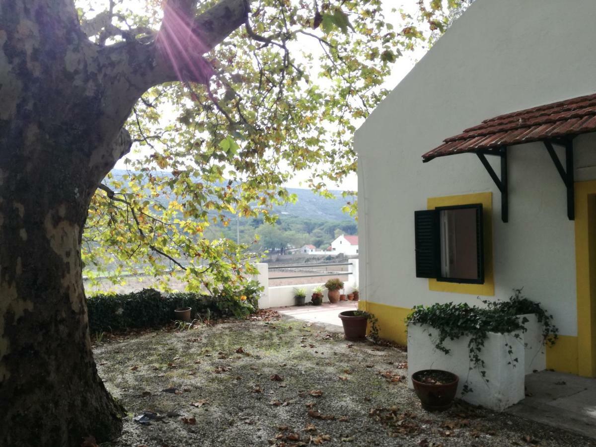 Montejunto Villas - Casa Do Platano Cadaval Buitenkant foto